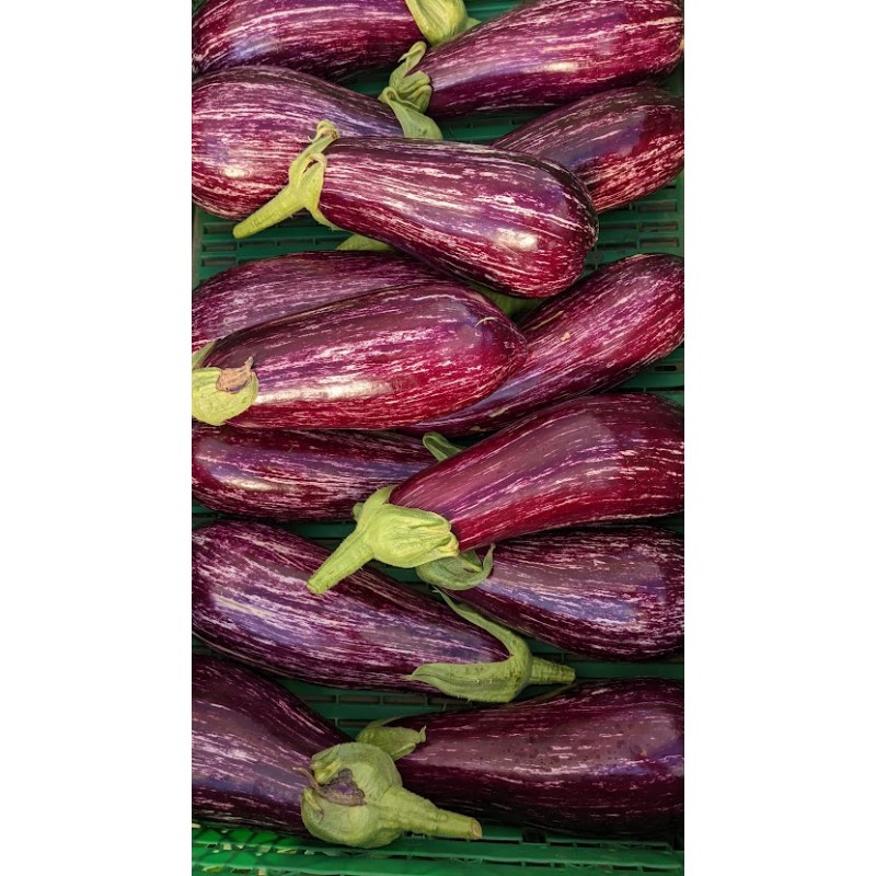 Aubergine Violette